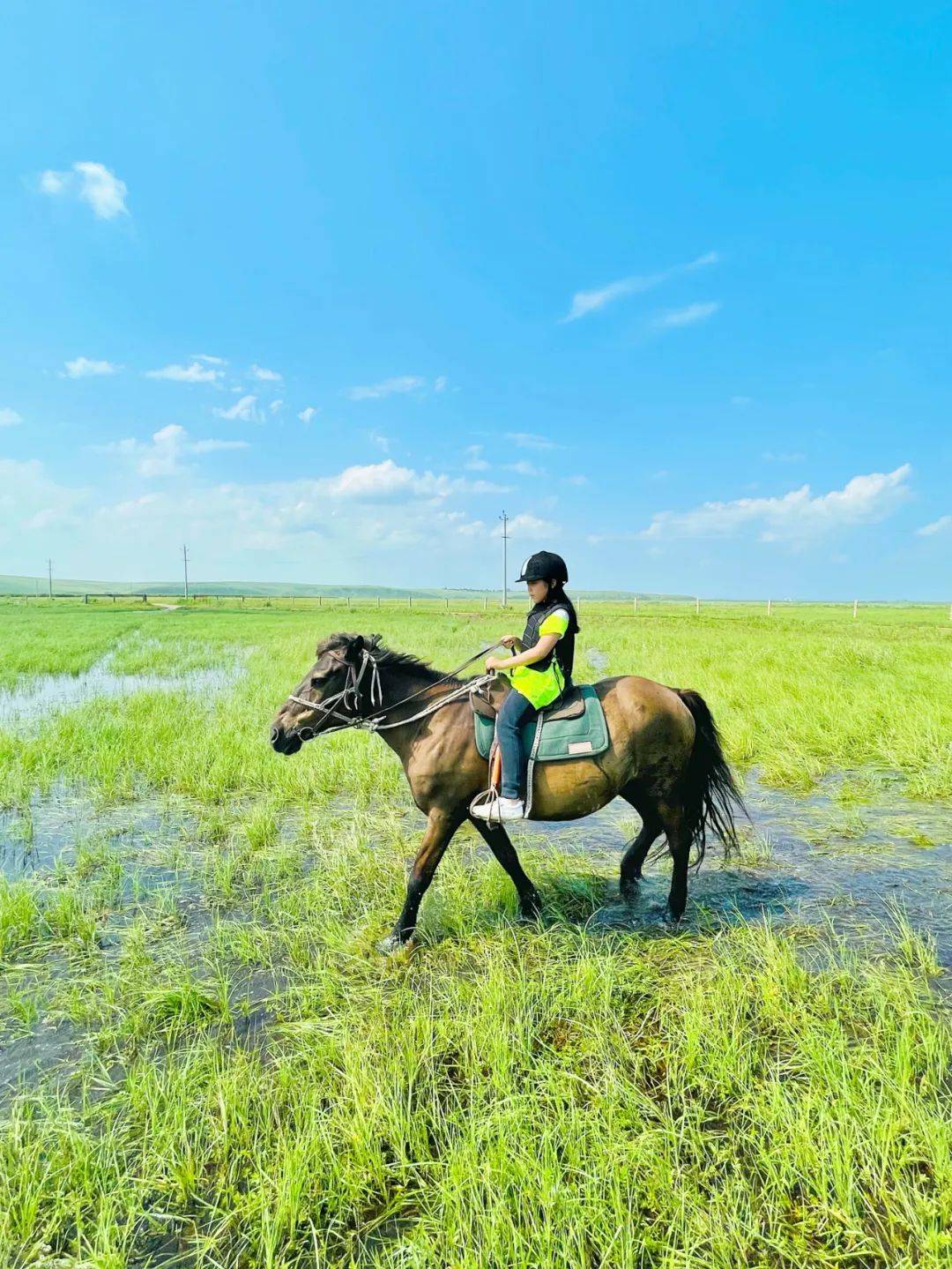 尔草原探索雄鸡金冠上的毕业旅行新葡京2025毕业旅行丨呼伦贝(图7)