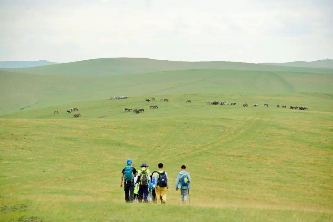 尔草原探索雄鸡金冠上的毕业旅行新葡京2025毕业旅行丨呼伦贝(图14)