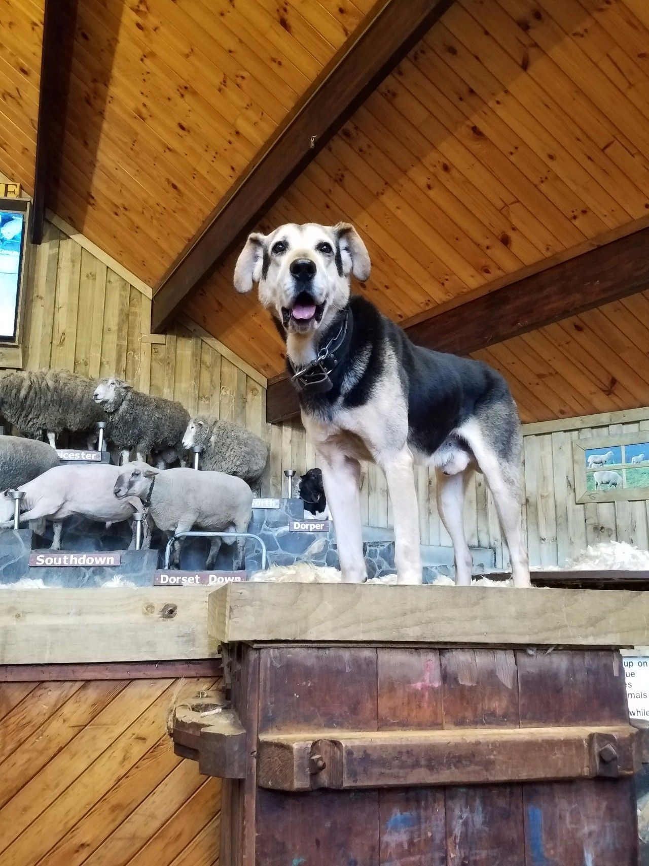 静的农场上就出现了一整座霍比特人村落新葡京网上赌场目的地 大笔一挥一片平(图4)